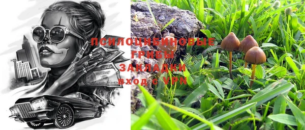 гидропоника Балабаново