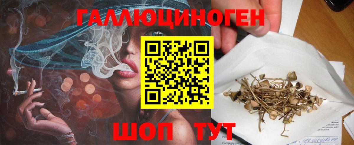 Печора  Галлюциногенные грибы MAGIC MUSHROOMS  Вход с VPN 